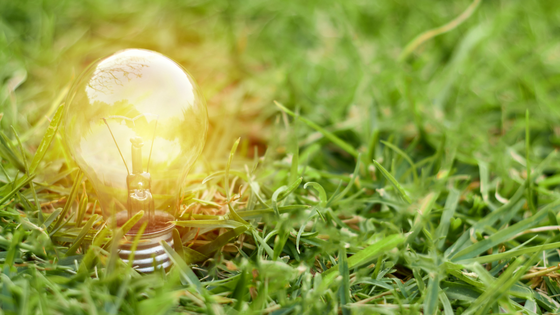 The Number One Green Solution: Energy-Efficient Lighting