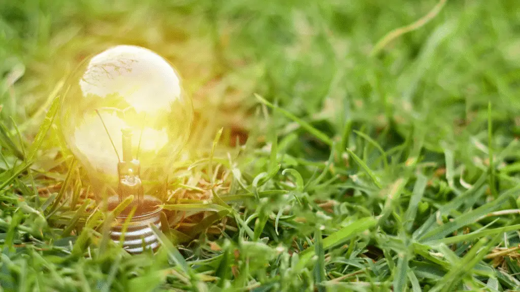 A light bulb placed on green grass, illuminated with a warm glow.